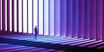 Fallacit� dell�Anima